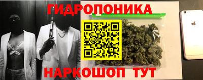 гидра Краснознаменск